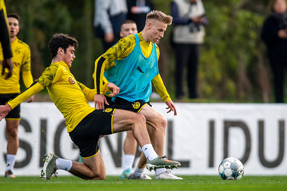 Anschließend ging es für ein kurzes Intermezzo zu Borussia Dortmund. Dort hatte Führich schon in der Jugend gespielt, kam nun in der U23 zum Einsatz.