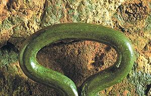 Dieser Bronzeknebel wurde am Wall gefunden.
Foto: Landesamt für Denkmalpflege Dieser Bronzeknebel wurde am Wall gefunden.
Foto: Landesamt für Denkmalpflege