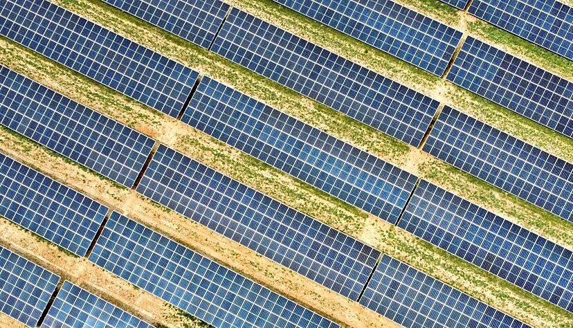 Auf der grünen Wiese: Freiflächen-Photovoltaikanlagen und Landwirtschaft nutzen die selben Flächen − darüber wird in Gremien diskutiert. Auf der grünen Wiese: Freiflächen-Photovoltaikanlagen und Landwirtschaft nutzen die selben Flächen − darüber wird in Gremien diskutiert.