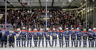 Jubel und lautstarke Unterst&uuml;tzung von den R&auml;ngen gab es beim letzten Heimspiel der Heilbronner Falken.