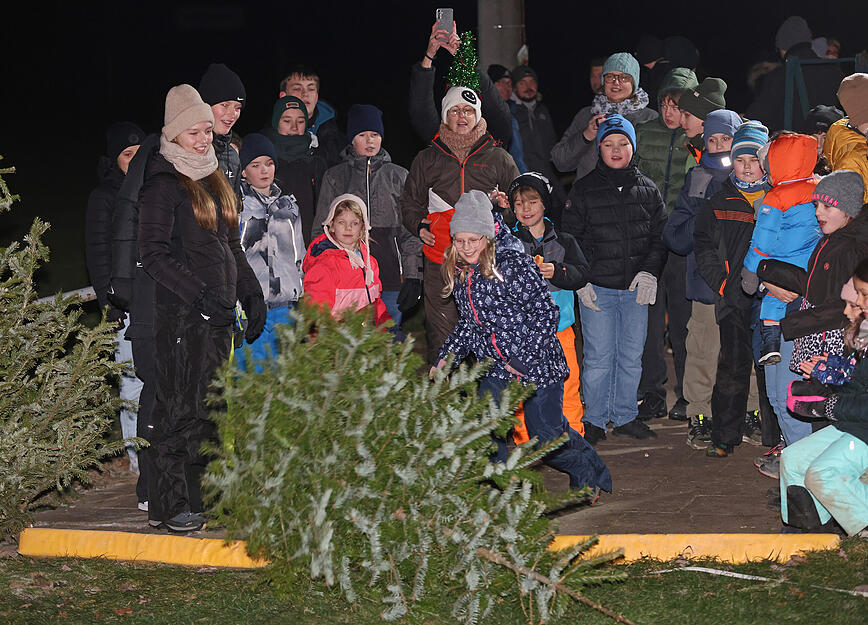 Christbaumschmiss in Kochert&uuml;rn: Wenn der Baum &uuml;ber f&uuml;nf Meter weit fliegt