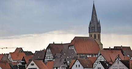 Auch wenn sich die historischen Dächer von Eppingen nicht in einheitlichem Rot präsentieren, hat sich die Stadt bisher gegen schwarz-glänzende Photovoltaik-Anlagen darauf gesperrt.
Foto: Archiv/Alexander Hettich Auch wenn sich die historischen Dächer von Eppingen nicht in einheitlichem Rot präsentieren, hat sich die Stadt bisher gegen schwarz-glänzende Photovoltaik-Anlagen darauf gesperrt.
Foto: Archiv/Alexander Hettich