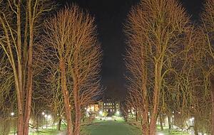 Im Hofgarten zwitschert nach Mitternacht ein Vogel. Einige helle Flächen und Lichter strahlen durch die lange Belichtungszeit mehr als beim Blick mit bloßem Auge. Im Hofgarten zwitschert nach Mitternacht ein Vogel. Einige helle Flächen und Lichter strahlen durch die lange Belichtungszeit mehr als beim Blick mit bloßem Auge.