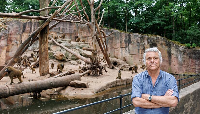 Dass die T&ouml;tung der Paviane im Gegensatz zu vielen anderen Zootieren f&uuml;r einen Aufschrei sorgt, ist nach Ansicht von Direktor Dag Encke eine emotionale Geschichte.