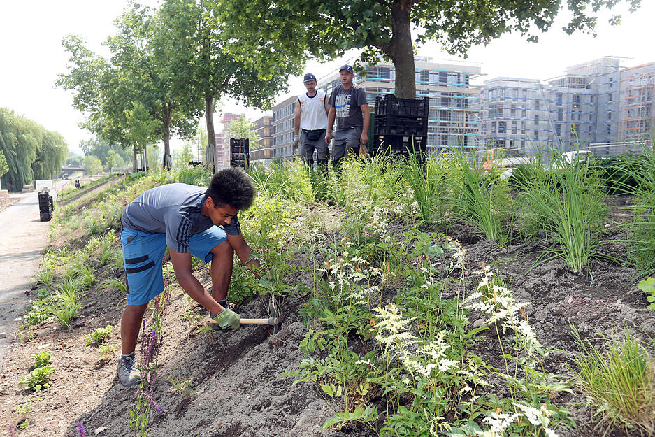 Terassengestaltung auf der Buga