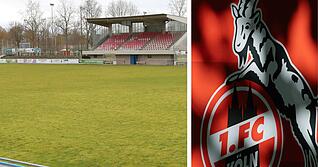 Ehemalige Stars des 1. FC Köln treten am 11. Oktober in der Erbe Arena zum Benefizspiel an. Gegner in Böckingen ist die Legendenauswahl Unterland.