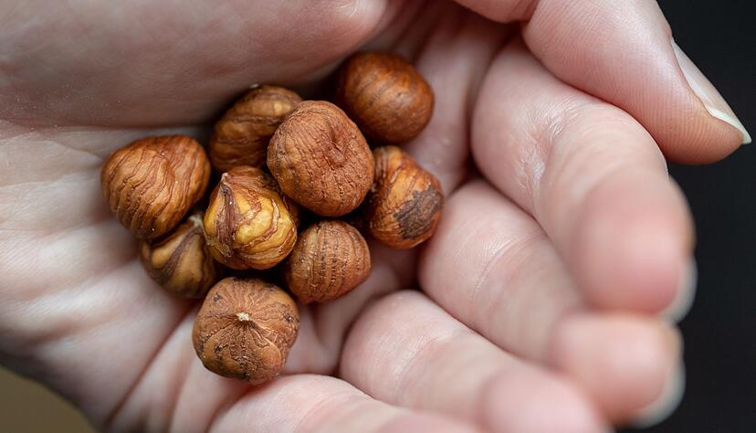 So gesund: Haseln&uuml;sse gibts nat&uuml;rlich auch im Herbst. (Archivbild)