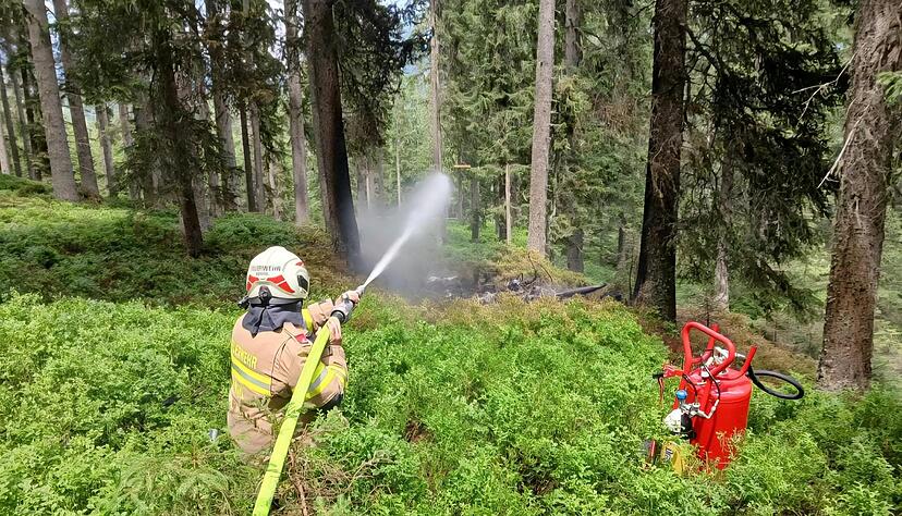 Die Feuerwehr löscht einen Brand nach dem Absturz eines Kleinflugzeuges in der Nähe von Wald im Pinzgau. Beim Absturz eines Kleinflugzeugs in Österreich sind laut Polizei vier Deutsche ums Leben gekommen. Die Feuerwehr löscht einen Brand nach dem Absturz eines Kleinflugzeuges in der Nähe von Wald im Pinzgau. Beim Absturz eines Kleinflugzeugs in Österreich sind laut Polizei vier Deutsche ums Leben gekommen.