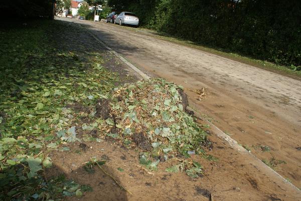 Folgen des Unwetters: viele Straßen - wie hier in Ilsfeld - waren voller abgerissener Blätter.