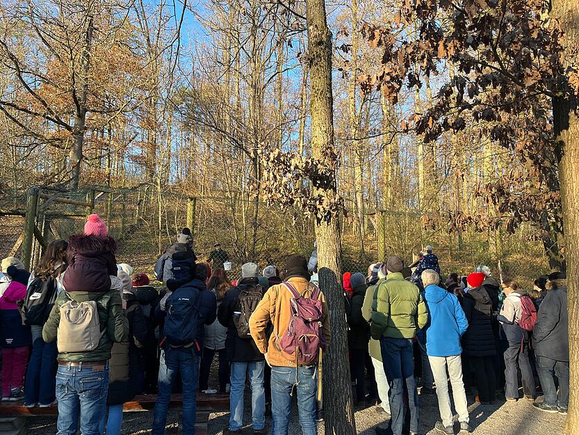 Bilder vom Winterwunderwald Tripsdrill