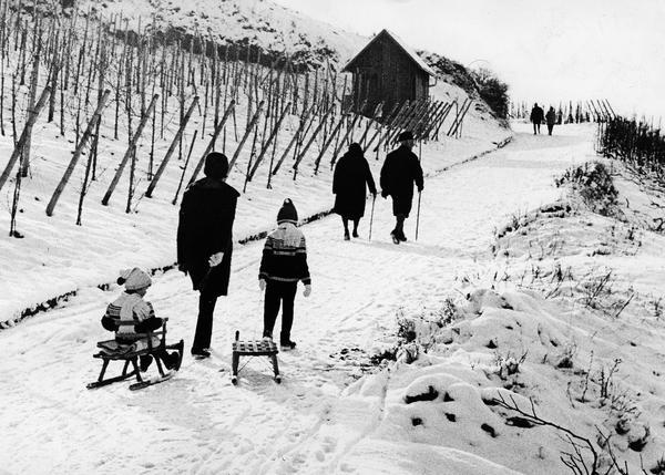 1967: Alt und Jung zieht es in die weiße Landschaft der Heilbronner Weinberge.