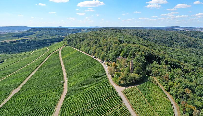 Auf dem Heuchelberg soll ein interkommunaler Windpark mit 13 Anlagen entstehen. Eine Bürgerinitiative will mehr Zeit für Diskussion.
Foto: Archiv/Manuel Maier