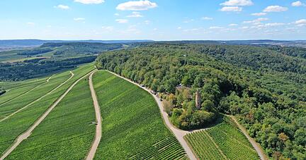 Auf dem Heuchelberg soll ein interkommunaler Windpark mit 13 Anlagen entstehen. Eine Bürgerinitiative will mehr Zeit für Diskussion.
Foto: Archiv/Manuel Maier
