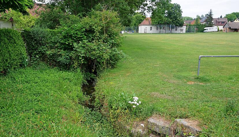 Das zugewucherte Seebächle in Obersulm-Willsbach soll im Bereich des alten Sportplatzes vor einer Überplanung des Geländes renaturiert werden.
