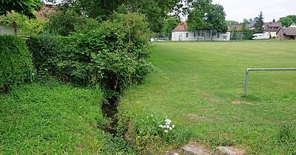 Das zugewucherte Seebächle in Obersulm-Willsbach soll im Bereich des alten Sportplatzes vor einer Überplanung des Geländes renaturiert werden.
Foto: Gustav Döttling Das zugewucherte Seebächle in Obersulm-Willsbach soll im Bereich des alten Sportplatzes vor einer Überplanung des Geländes renaturiert werden.
Foto: Gustav Döttling