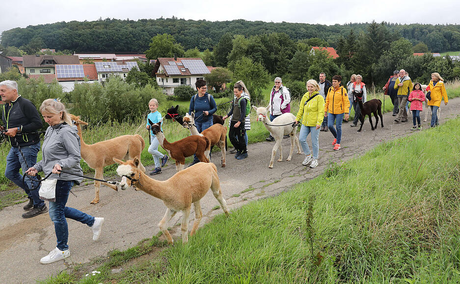 Ob im Stall oder auf dem Spaziergang mit den Tieren, Jung und Alt nahmen unvergessliche Eindr&uuml;cke mit auf den Heimweg.