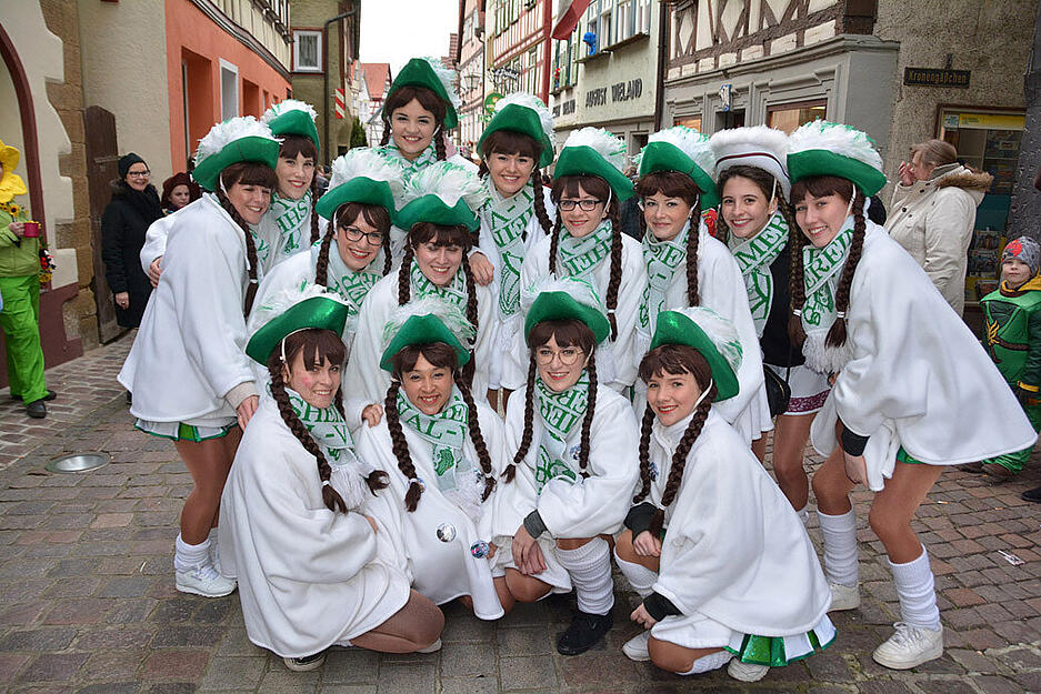Faschingsumzug in Bad Wimpfen