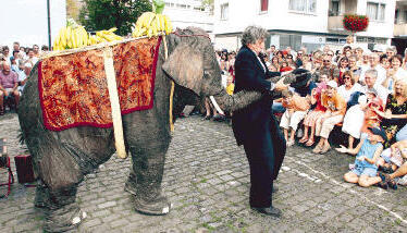 Ein Publikumsmagnet beim Heilbronner Sommertheater war der Elefant der Gruppe &bdquo;PasParTouT&ldquo;. Seinem Spaziergang durch die Fußgängerzone schlossen sich Dutzende Zuschauer an.Fotos: Andreas Veigel