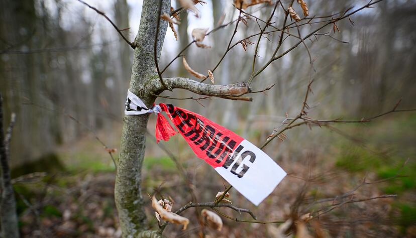 Reste einer Polizeiabsperrung sind in dem betroffenen Waldst&uuml;ck zu sehen.