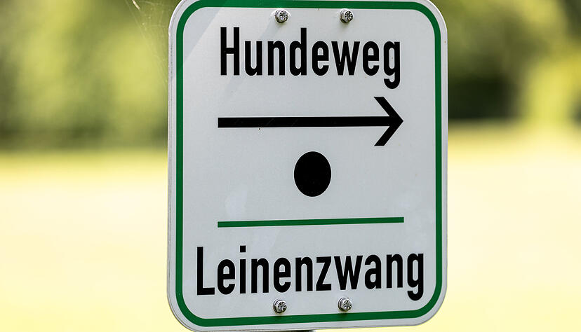 Am Breitenauer See gilt am Badestrand ein Hundeverbot. Am Breitenauer See gilt am Badestrand ein Hundeverbot.