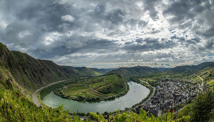 Bei der Entwicklung des Weinbaus muss nach Ansicht von Experten auch der Tourismus bedacht werden. (Archivbild) Bei der Entwicklung des Weinbaus muss nach Ansicht von Experten auch der Tourismus bedacht werden. (Archivbild)