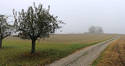 Auf einer landwirtschaftlichen Fl&auml;che bei Nagelsberg soll ein zwei Hektar gro&szlig;er Solarpark entstehen.
Foto: Armin R&ouml;&szlig;ler