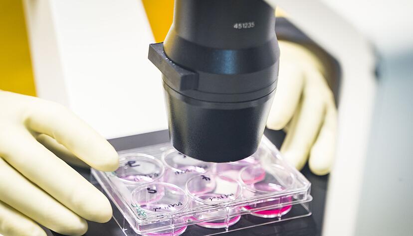 Ein Mitarbeiter arbeitet in einem Labor in der Corona-Forschung: Mutationen des Virus machen Wissenschaftlern Sorge. Foto: dpa