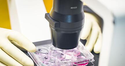 Ein Mitarbeiter arbeitet in einem Labor in der Corona-Forschung: Mutationen des Virus machen Wissenschaftlern Sorge.
Foto; dpa