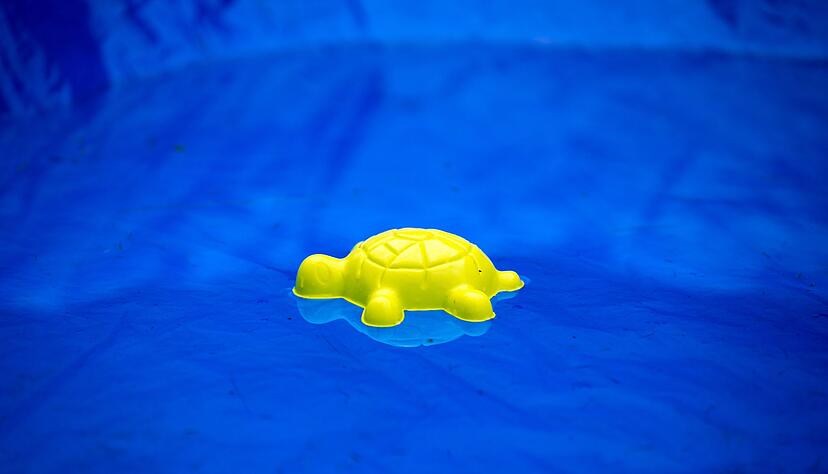 Die vermissten Kinder wurden tot in einem privaten Pool gefunden. (Symbolbild) Die vermissten Kinder wurden tot in einem privaten Pool gefunden. (Symbolbild)