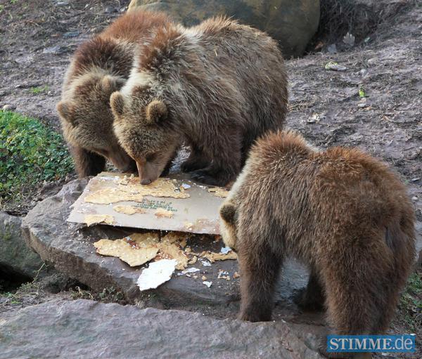 B&auml;rengeburtstag in Tripsdrill | 29.12.