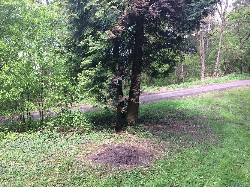 Polizeiaktion in Eschenau | 18.4. Polizeiaktion in Eschenau | 18.4.