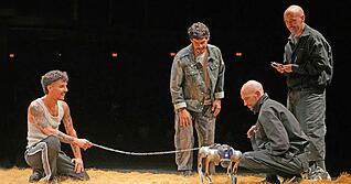 Ist er nicht süß? Die vier Performer der Iron Skulls Company
verhandeln tänzerisch Fragen der emotionalen KI.