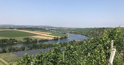 Nach dem Anstieg folgt die Belohnung: Auf der Höhe kurz vor Neckarwestheim unbedingt anhalten und den Ausblick genießen auf die Neckarschleife und Lauffen, am Horizont liegt der Heuchelberg.
Fotos: Bärbel Kistner