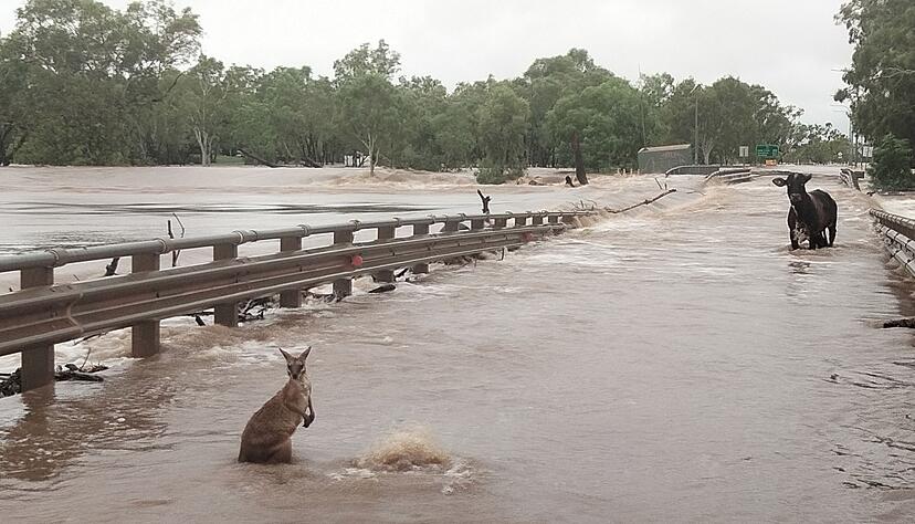 Nach extrem heftigen Regenfällen sind mehrere Ortschaften in der Kimberley-Region komplett überschwemmt. Nach extrem heftigen Regenfällen sind mehrere Ortschaften in der Kimberley-Region komplett überschwemmt.