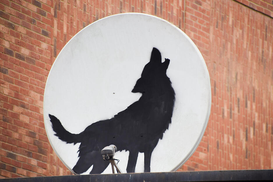 Am n&auml;chsten Tag entstand der Wolf auf eine Satellitensch&uuml;ssel, die auf dem Dach eines Gesch&auml;fts in Peckham im S&uuml;den Londons angebracht ist.