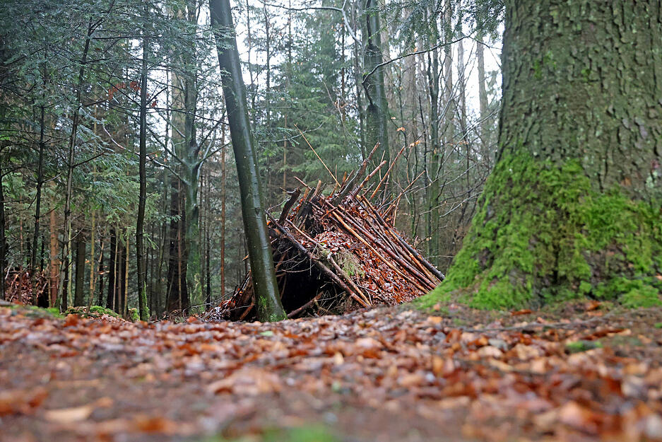 Survival-Trainer Dominik Knausenberger kommt eine Woche allein in der Wildnis zurecht