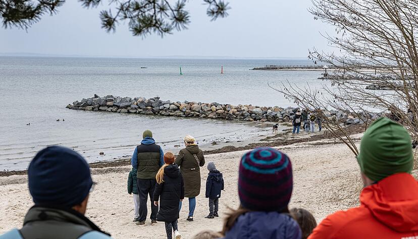 Das Schicksal des Buckelwals bewegt viele Menschen. Das Schicksal des Buckelwals bewegt viele Menschen.