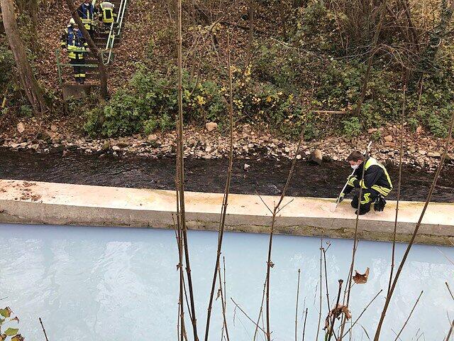 Gew&auml;sserverunreinigung in der Seckach bei M&ouml;ckm&uuml;hl