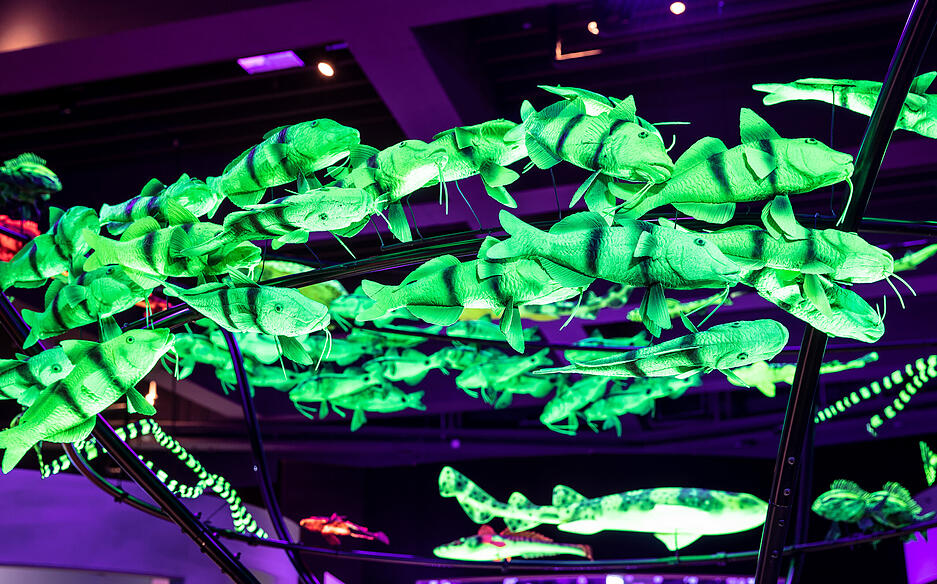 Tiefsee-Sonderausstellung in der Experimenta Tiefsee-Sonderausstellung in der Experimenta