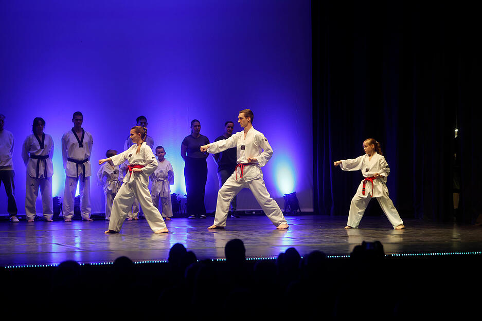 Die Budokwai-Abteilung aus Öhringen. Die Budokwai-Abteilung aus Öhringen.