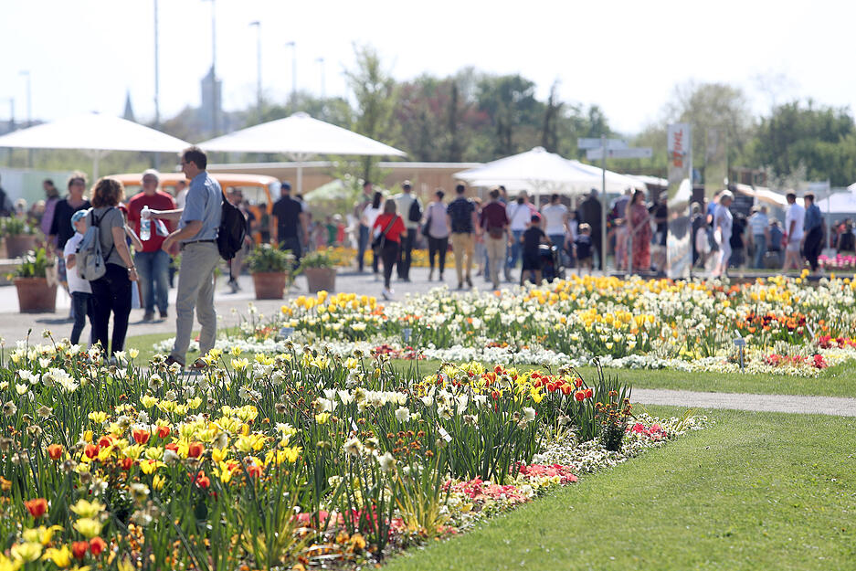 Die Heilbronner Buga am Osterwochenende Die Heilbronner Buga am Osterwochenende