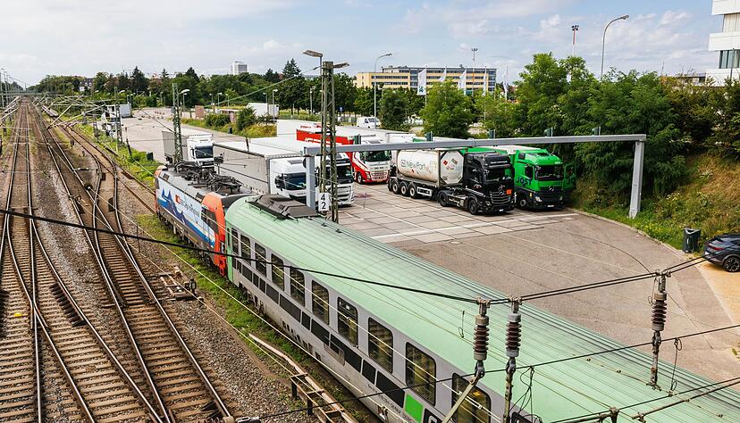 Im Norden Freiburgs gibt es inzwischen 16 Fallen.