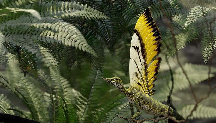 Die Art Mirasaura grauvogeli trug einen bizarren R&uuml;ckenkamm, den diese grafische Darstellung zeigt.