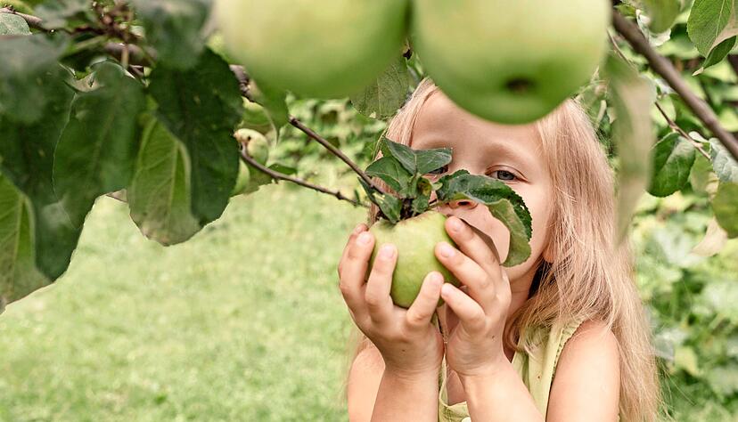 Vom Baum zu naschen, ist verlockend und: Diebstahl. Aber es gibt auch Ausnahmen.
.