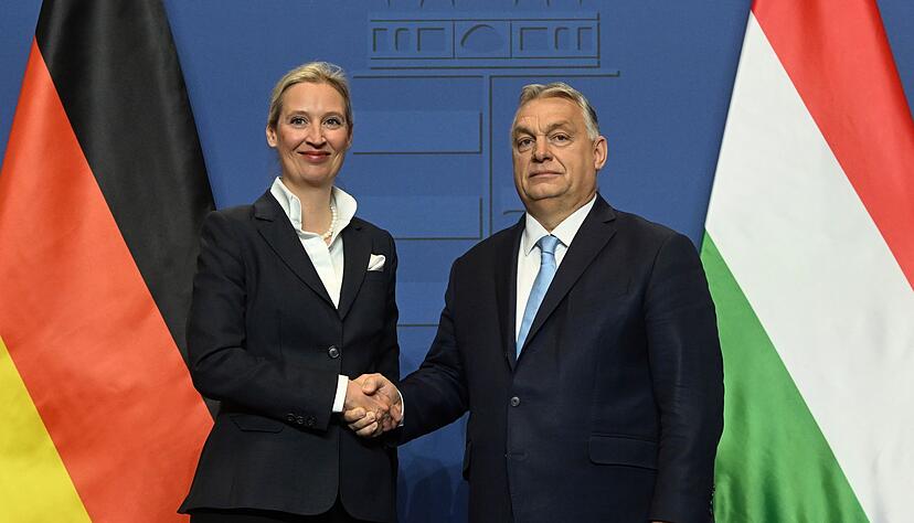 AfD-Parteichefin Alice Weidel pflegte ein enges Verh&auml;ltnis mit Ungarns jetzt abgew&auml;hltem Regierungschef Viktor Orban. (Archivbild)