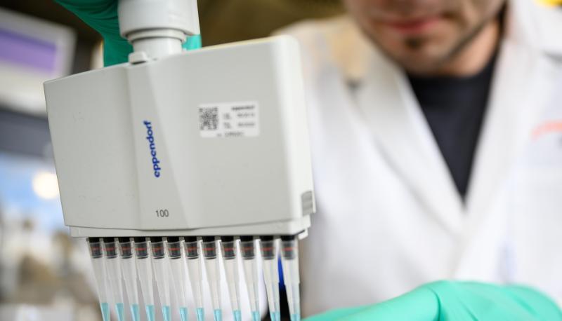 Ein Mann pipettiert in einem Labor des biopharmazeutischen Unternehmens Curevac eine Flüssigkeit.