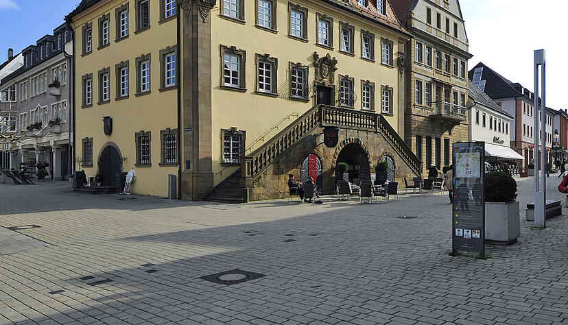 Wie gelingt es, die Stadt Neckarsulm grüner zu machen?
