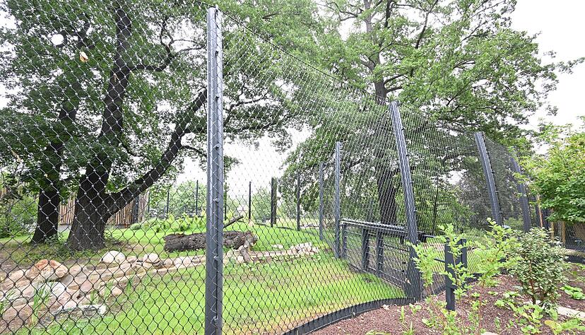 Laut Wilhelma handelt es sich um die modernste Tiger-Anlage Europas. Laut Wilhelma handelt es sich um die modernste Tiger-Anlage Europas.