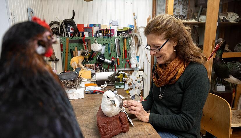 Als Pr&auml;paratorin kann Yvonne Fritzsche-Nehls ihre Interessen in Wissenschaft, Kunst und Handwerk ausleben.