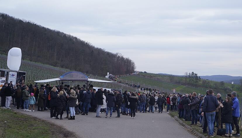 Am Abschlussabend des Rebenglühen der Bretzfelder Weingüter wanderten die Besucher ab 17 Uhr durch die Weinberge.